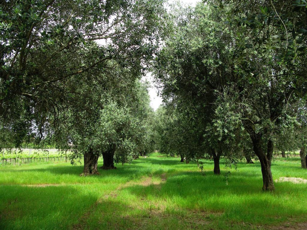 Masseria San Polo Squinzano Luaran gambar