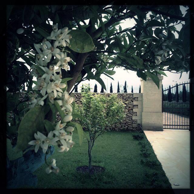 Masseria San Polo Squinzano Luaran gambar